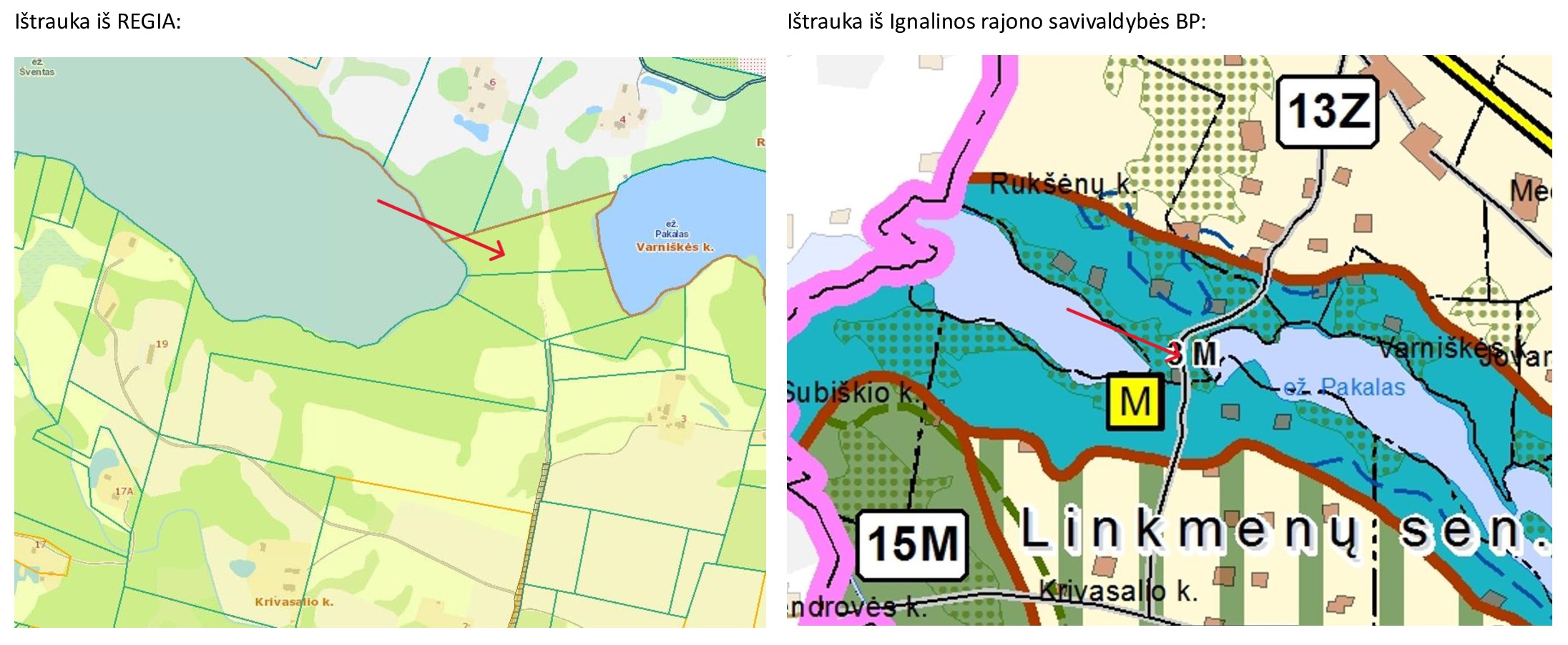 Ištrauka iš Bendrojo plano sprendinių brėžinio, REGIA