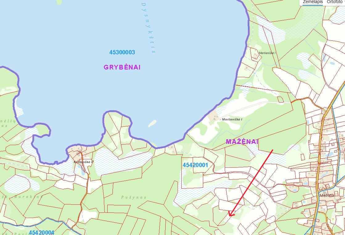Ištrauka iš GEOPORTAL